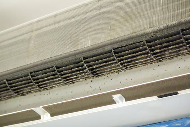Best Home Air Vent Cleaning  in Lake Barcroft, VA